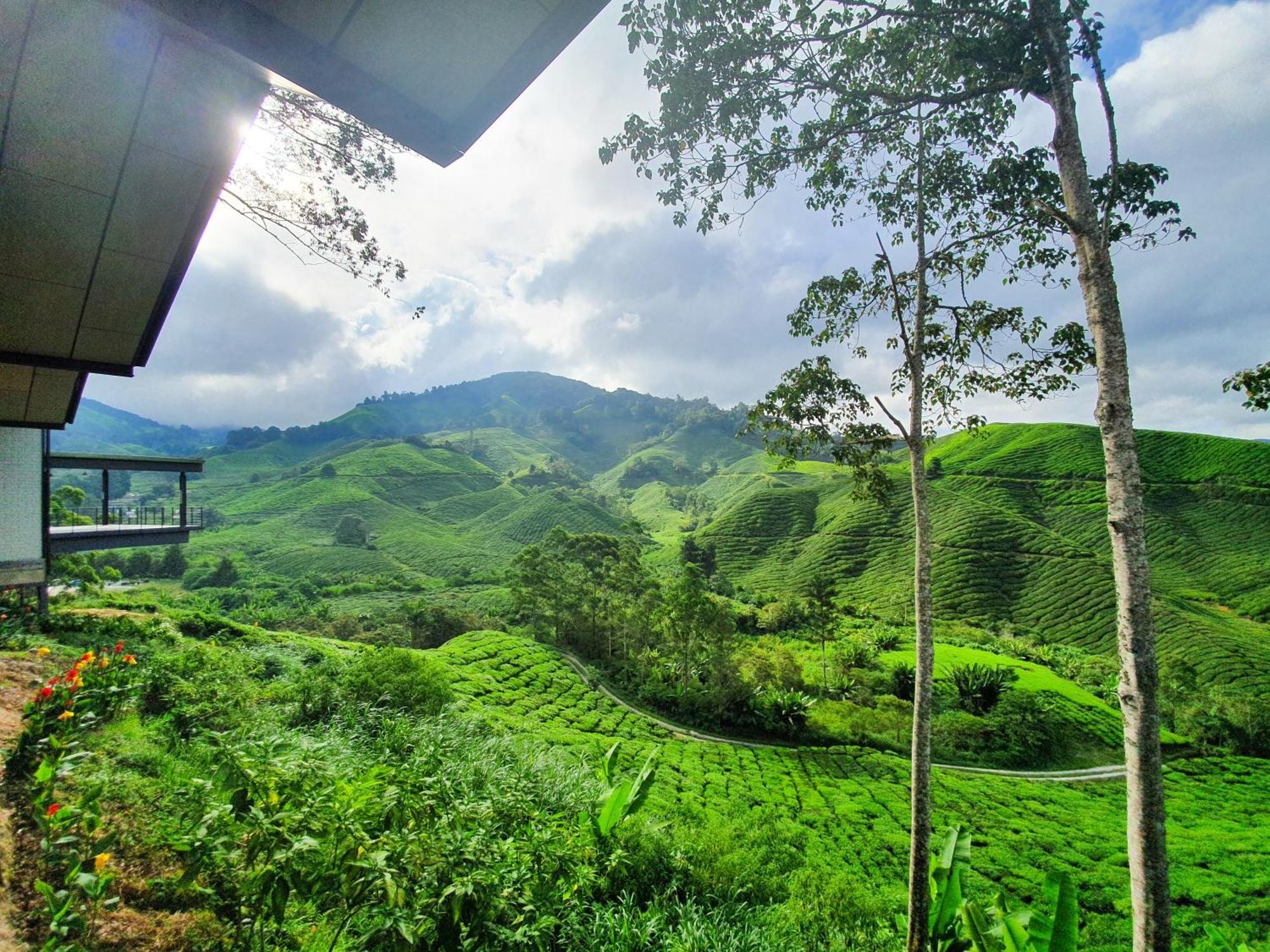 Mossy Forest Family Retreat Ii, 2-8 Pax, Cameron Highlands Dış mekan fotoğraf
